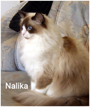 nalika05